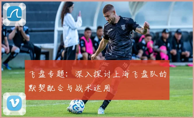 飞盘专题：深入探讨上海飞盘队的默契配合与战术运用